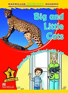 Big and 2024 little cats