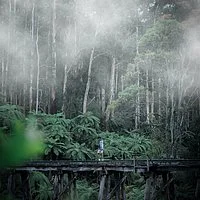 Uncover the jungle paths and collect the gold: Creating an inclusive classroom environment