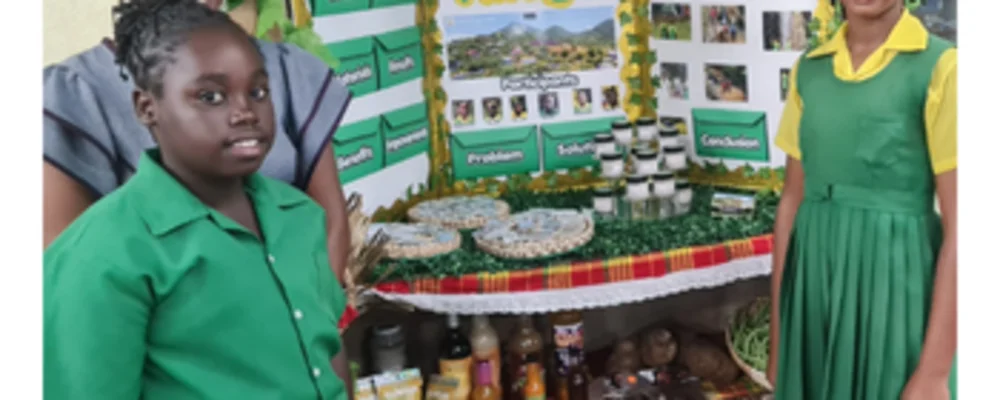 Highlights from our sponsorship of Dominica STEM Fair 2026