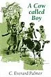 A Cow Called Boy: 2nd Edition