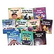 MSEA Snappy Sounds Readers Level 3 Pack